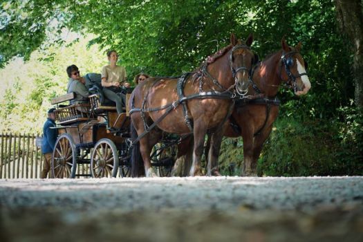 Horse drawn carriage tours in Brittany