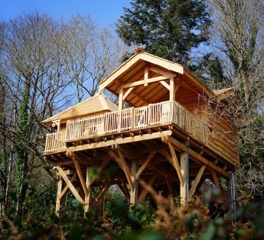Lewis tree house lodge in Brittany