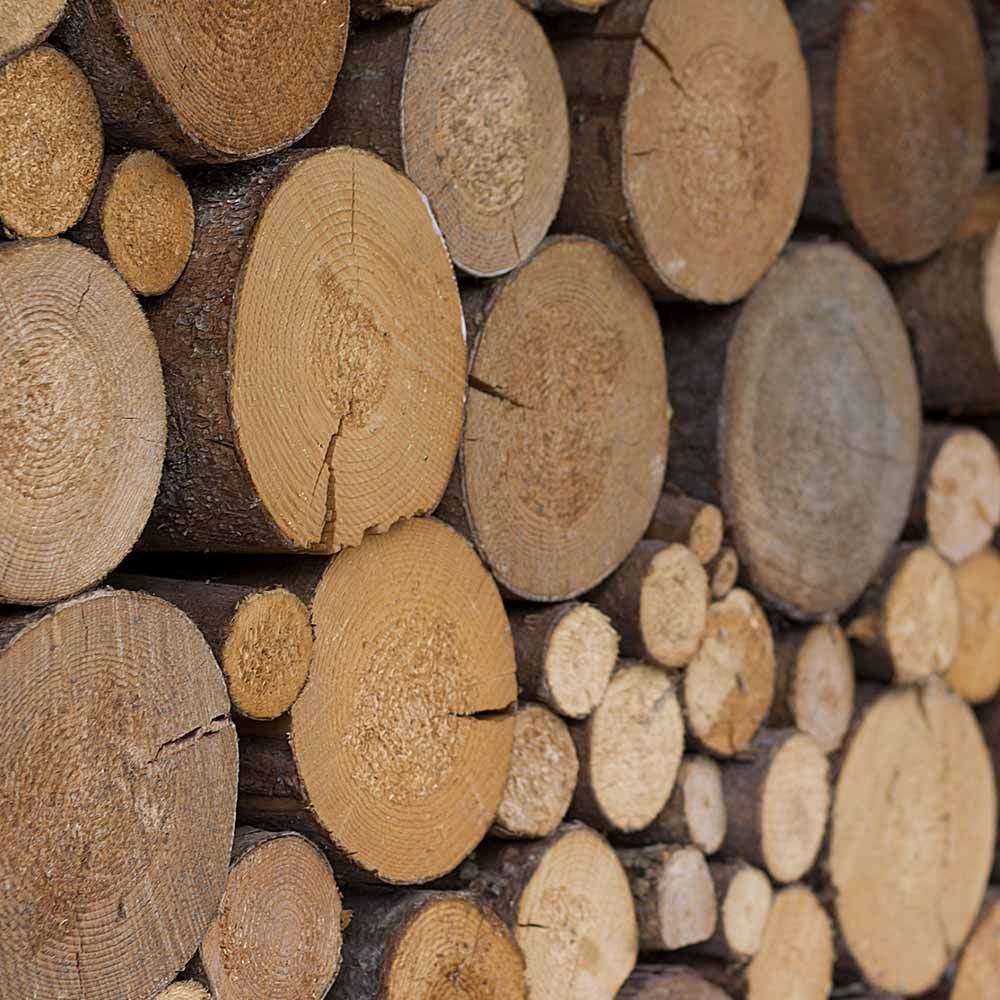 Sale of heating wood near Morlaix in the department of Finistère Sale of heating wood near Morlaix in the department of Finistère