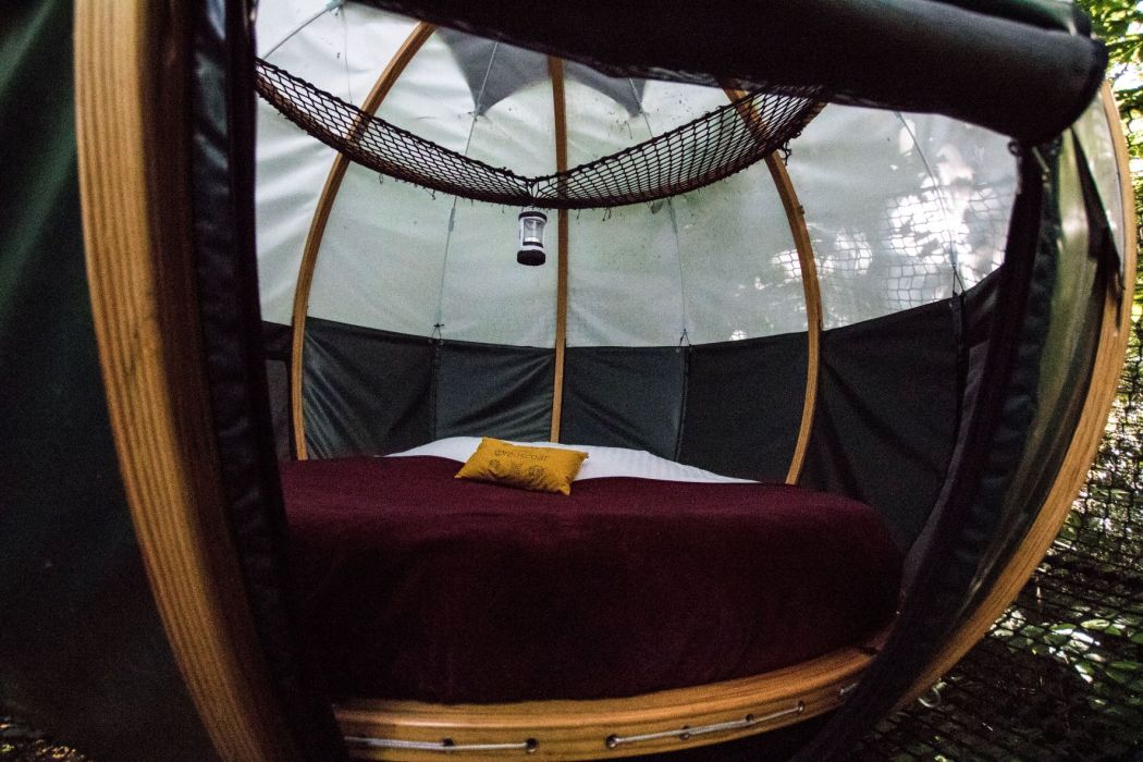 Night in a tree dome in Finistere - Brittany Night in a tree dome in Finistere - Brittany
