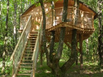 @followers : TINTO 🌻
🔗 https://www.domaine-treuscoat.fr/cabane-tinto.php
Notre cabane dans les arbres familiale Tinto est nichée en plein cœur de la forêt où...