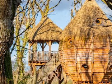 Glasgow 🥰 
🔗https://www.domaine-treuscoat.fr/glasgow.php
@followers 
--
Cette cabane est parfaite pour une famille de 6 personnes ou pour 2 couples d’amis...