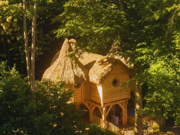 Cabane perchée Dundee 🌳
🔗https://www.domaine-treuscoat.fr/dundee.php

Nichée en plein cœur de notre châtaigneraie, cette cabane vous émerveillera par sa...